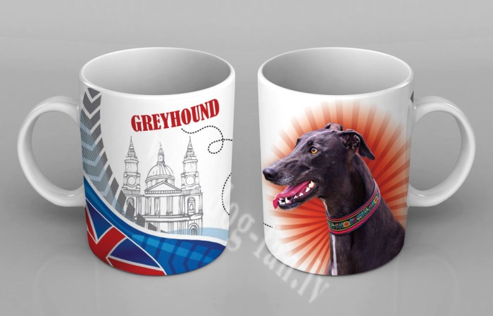 greyhoundcup copy